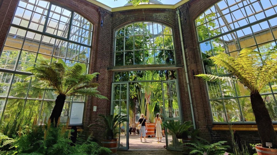 Hortus Botanicus: jardín botánico de Amsterdam
